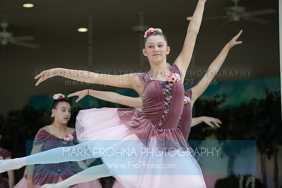 BCA Swan Lake-078