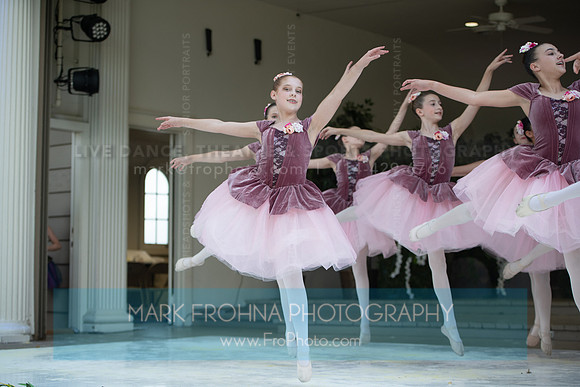 BCA Swan Lake-075