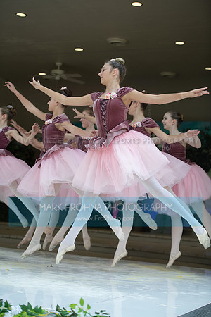 BCA Swan Lake-073