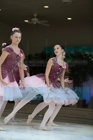 BCA Swan Lake-071