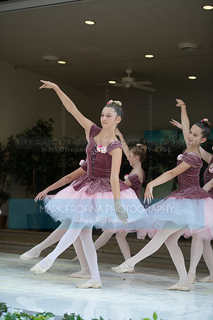 BCA Swan Lake-070