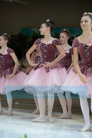 BCA Swan Lake-072