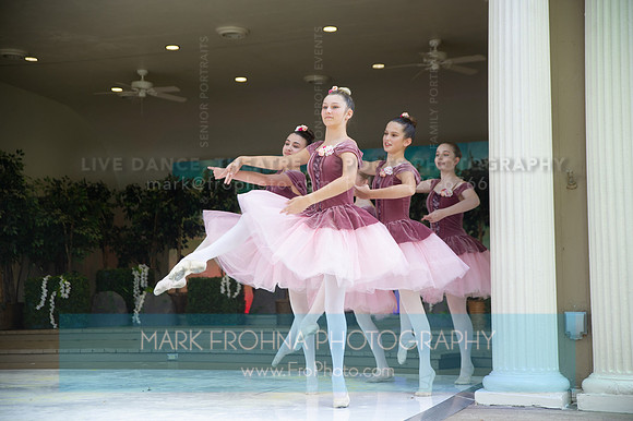 BCA Swan Lake-068