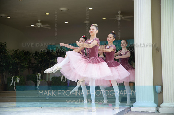 BCA Swan Lake-067