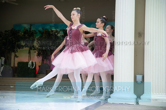 BCA Swan Lake-065
