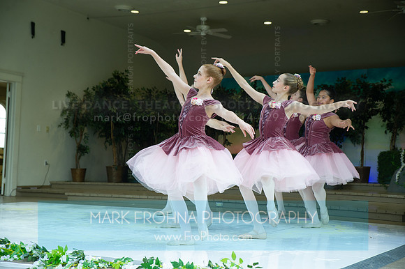 BCA Swan Lake-063