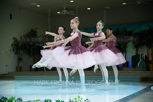 BCA Swan Lake-064