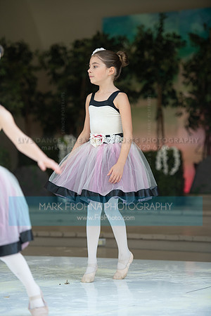BCA Swan Lake-052