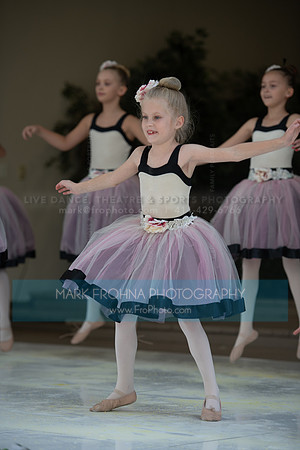 BCA Swan Lake-045