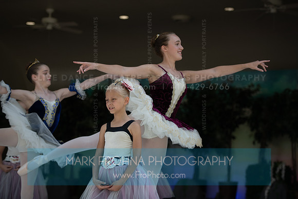 BCA Swan Lake-042
