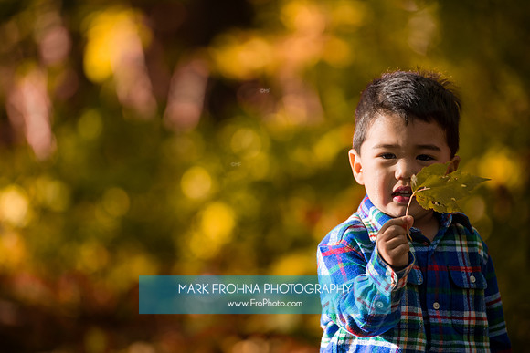 Kawamura De Stefano Family Fall 2023-31