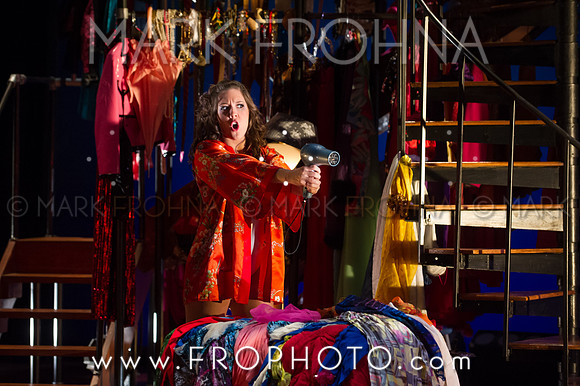 Skylight Cenerentola Dress-7