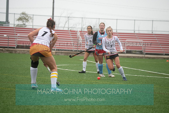 DSHA Field Hockey State 2023-102