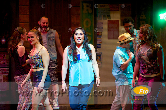 Skylight In the Heights Preview 059