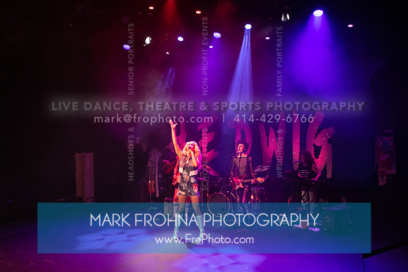 All In Hedwig-026