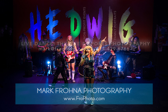 All In Hedwig-012