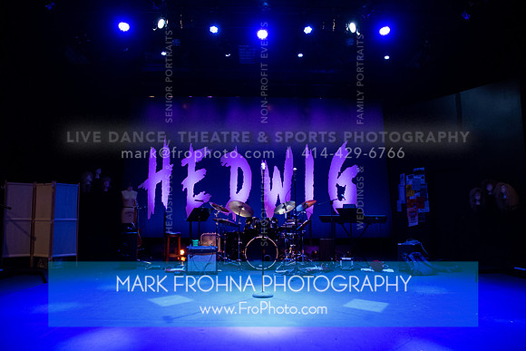 All In Hedwig-002