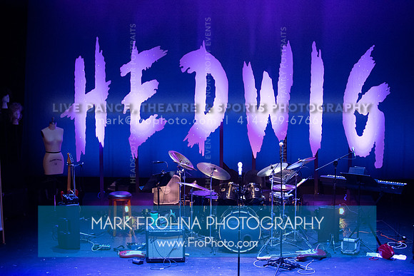 All In Hedwig-001