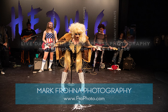All In Hedwig-079