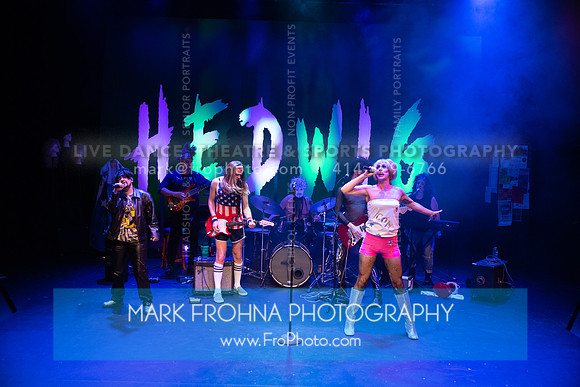 All In Hedwig-053