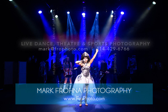 All In Hedwig-160