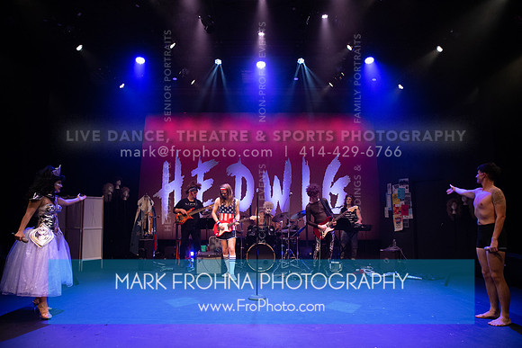 All In Hedwig-161
