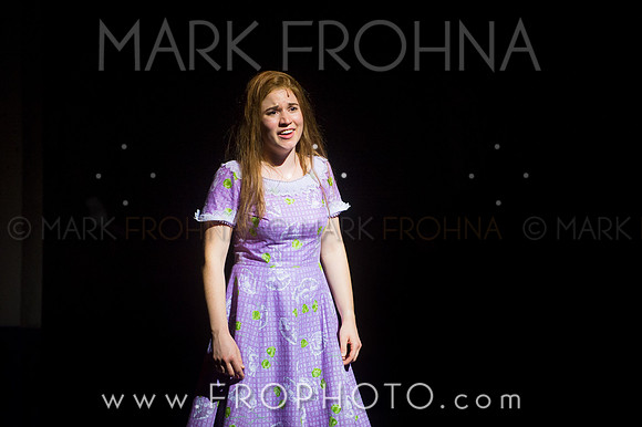 Skylight Violet Night 1 Highlights-45