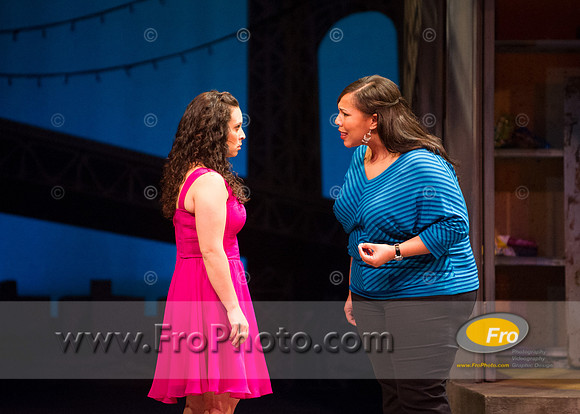 Skylight In the Heights Preview-119