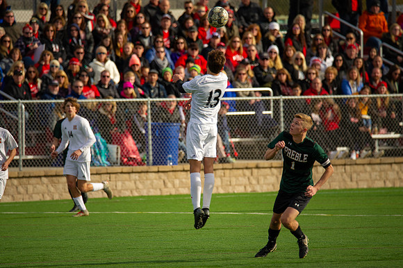 Hamilton Soccer State Semi-Final Champs 2018-021