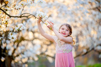 Holly Z Magnolias 2025-20