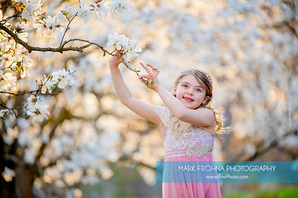 Holly Z Magnolias 2025-20