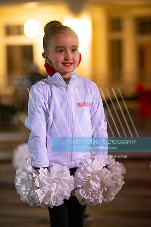 BRIO Brookfield Tree Lighting 2023-29