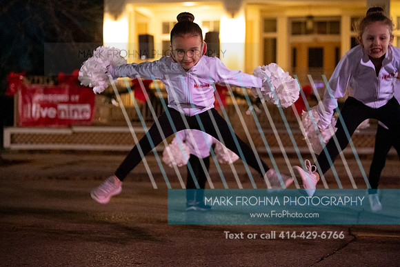 BRIO Brookfield Tree Lighting 2023-22