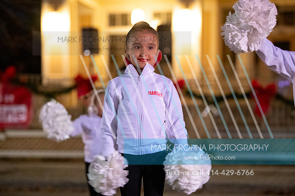 BRIO Brookfield Tree Lighting 2023-21