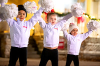 BRIO Brookfield Tree Lighting 2023-10