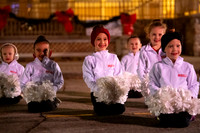 BRIO Brookfield Tree Lighting 2023-5