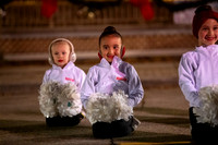 BRIO Brookfield Tree Lighting 2023-4