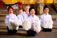 BRIO Brookfield Tree Lighting 2023-2