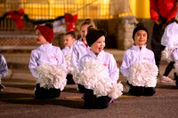 BRIO Brookfield Tree Lighting 2023-1