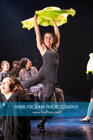 Skylight Carmina Burana-033