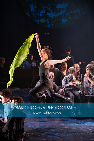 Skylight Carmina Burana-034