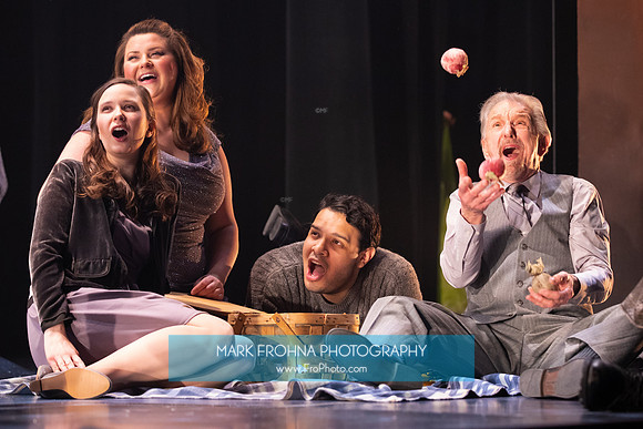 Skylight Carmina Burana-029