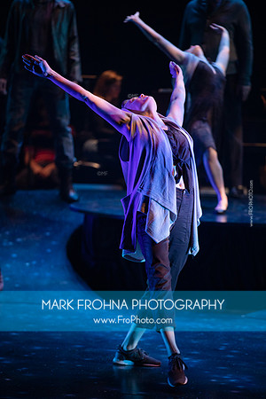Skylight Carmina Burana-003