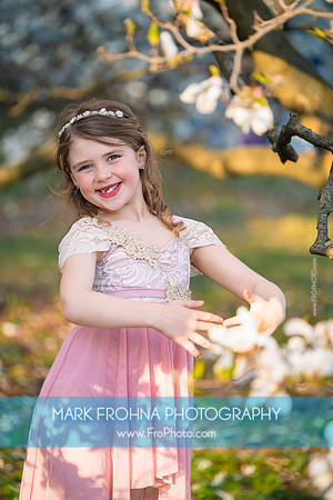Holly Z Magnolias 2025-5