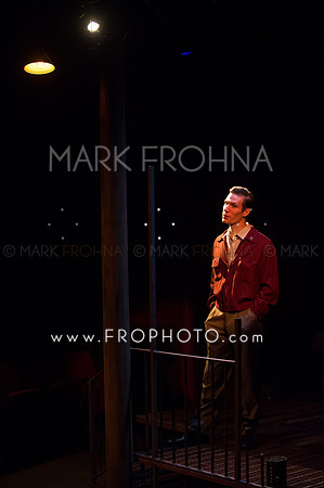 In Tandem Glass Menagerie-28