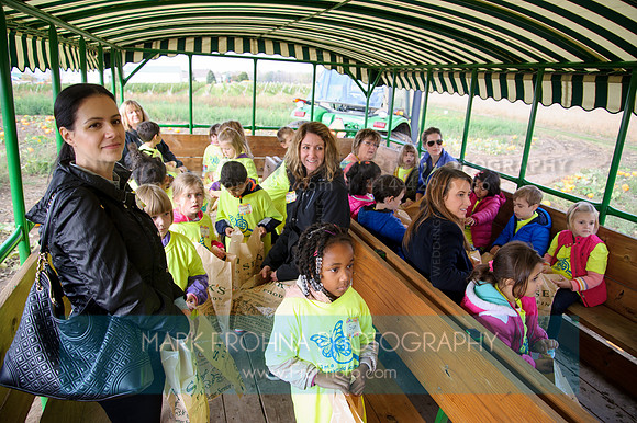 BA Pumpkin Farm 2017-24