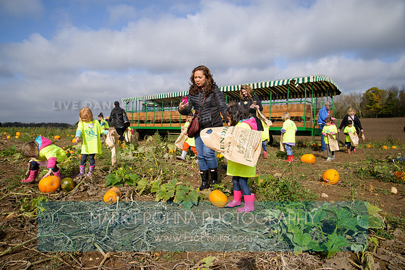 BA Pumpkin Farm 2017-25