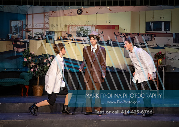 BRIO Drowsy Chaperone Wow-24