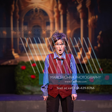BRIO Beauty and the Beast WOW-21