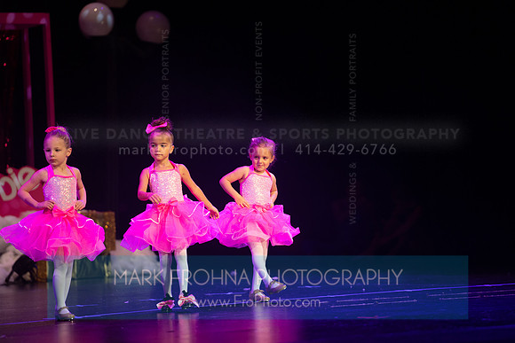 BRIO Barbie Dev Danc Sun 1115AM-15